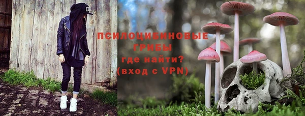 бошки Алзамай