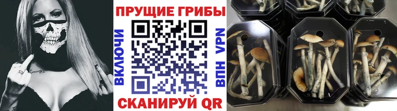 Галлюциногенные грибы мухоморы мориарти какой сайт Покров