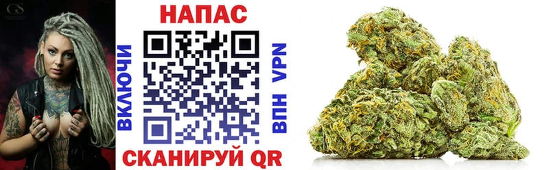 сколько стоит  Покров  мега как войти  Шишки марихуана OG Kush 